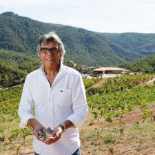 Vinyes Domènech, un agradable vino de España
